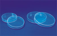 Petri Dish